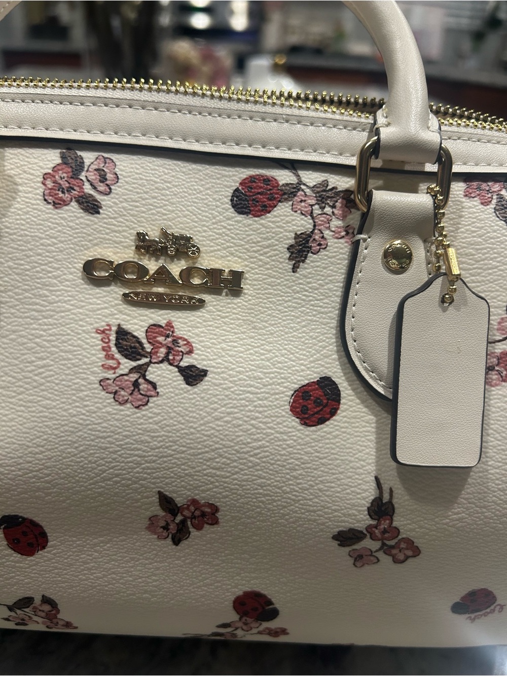 Coach Cream Satchel with Floral and Ladybug Motif - Picture 3 of 7